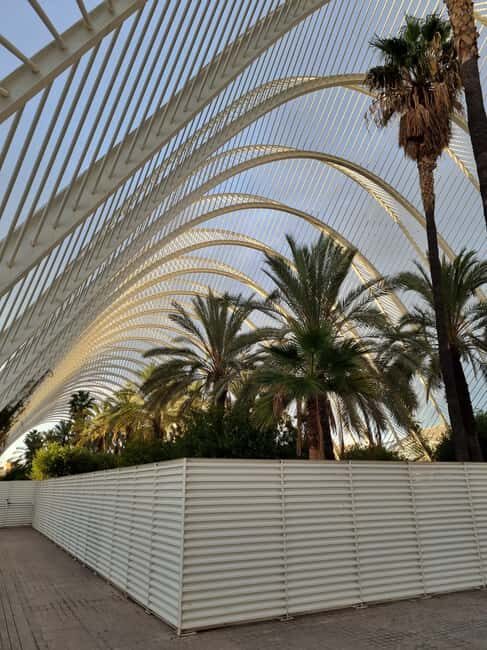 Valencia: Walking tour of the City of Arts and Sciences in Italian - Valencia: Walking tour of the City of Arts and Sciences in Italian