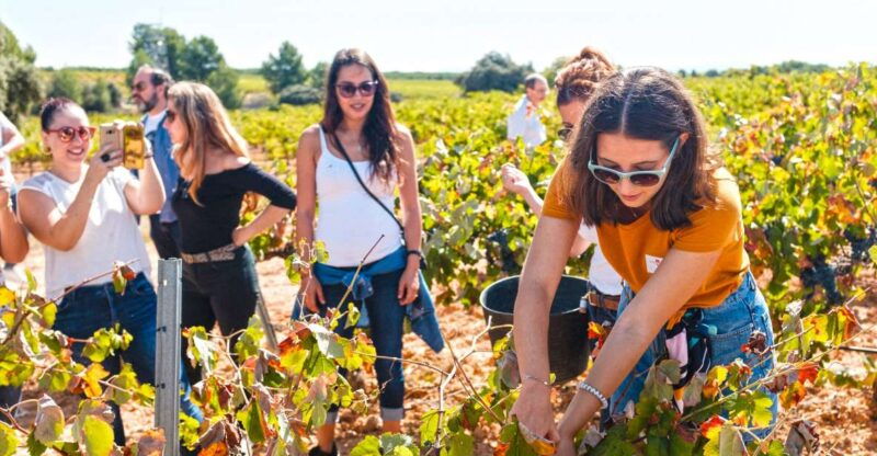 valencia-winery-visit-with-vineyard-tour-wine-tasting