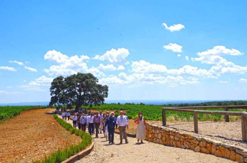 valencia-winery-visit-with-vineyard-tour-wine-tasting