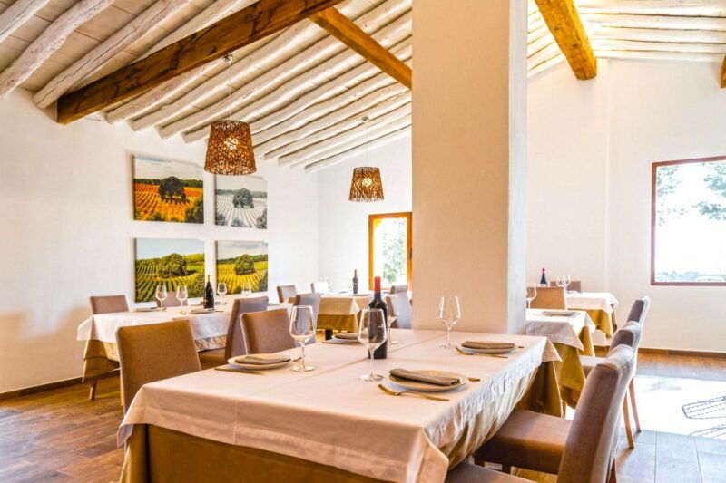 valencia-winery-visit-with-vineyard-tour-wine-tasting