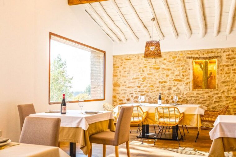 valencia-winery-visit-with-vineyard-tour-wine-tasting