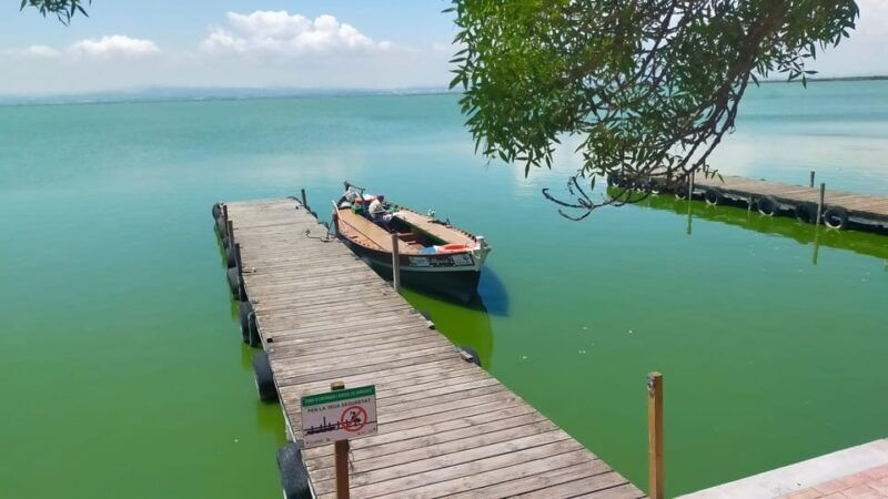 valencias-albufera-cycling-guided-tour
