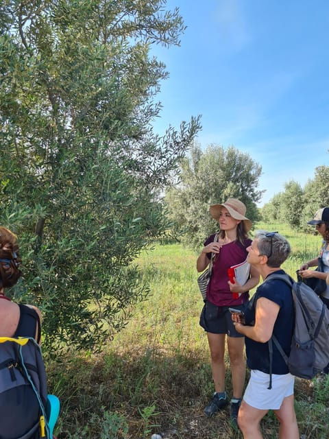 valensole-visit-of-a-winery-and-lavender-farm