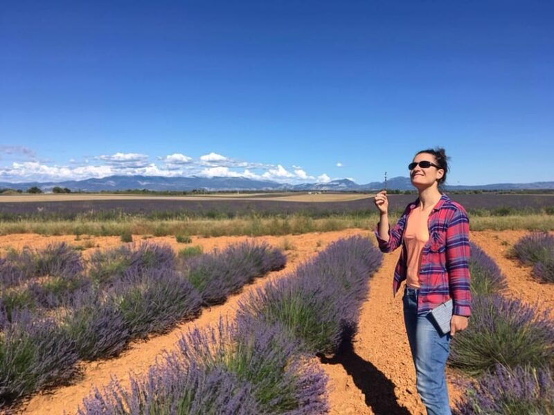 valensole-visit-of-a-winery-and-lavender-farm