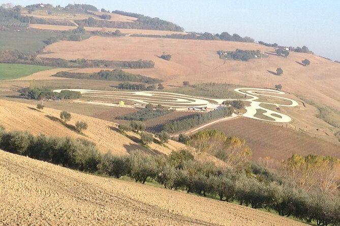 valentino-rossi-round-trip-to-tavullia-from-rome-private-day-tour