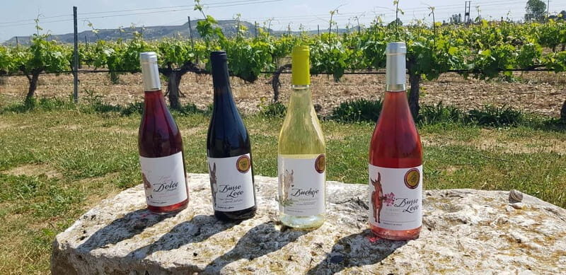 Valladolid: Concejo Bodegas - An In-Depth Look at the Concejo Bodegas Experience