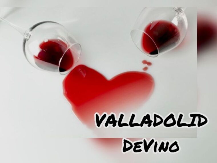 valladolid-private-guided-tour-with-tapas-and-wine-tasting