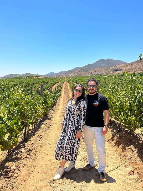Valle de Guadalupe: All-Inclusive Wine Tour - Key Points