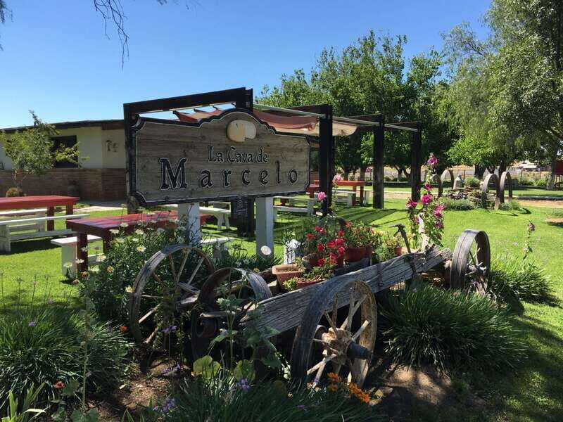 Valle de Guadalupe: Wine & Cheese Tour - Valle de Guadalupe: Wine & Cheese Tour – A Detailed Look