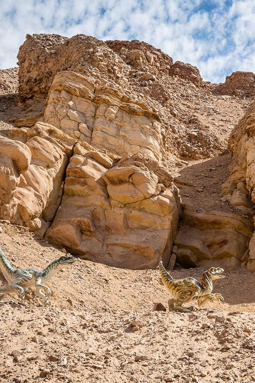valle-de-majes-a-story-of-petroglyphs-and-dinosaur-tracks