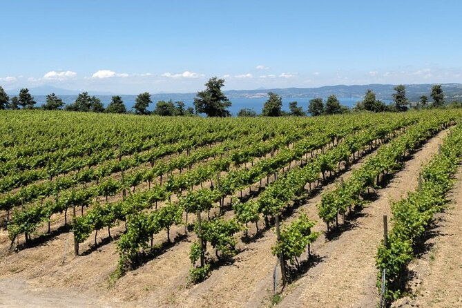 valle-del-lago-ebike-tour-with-food-wine-tasting-experience