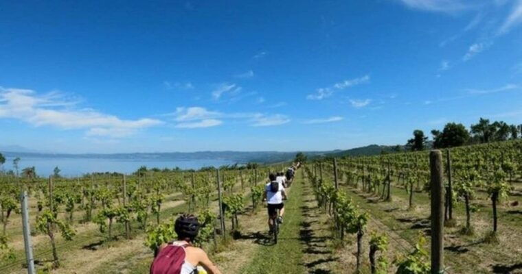 valle-del-lago-ebike-tour-with-foodwine-tasting-experience
