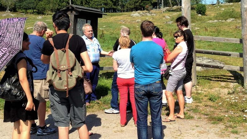 Vallentuna: Walking Tour and Viking History at Granby Farm - Vallentuna: Walking Tour and Viking History at Granby Farm — A Detailed Review