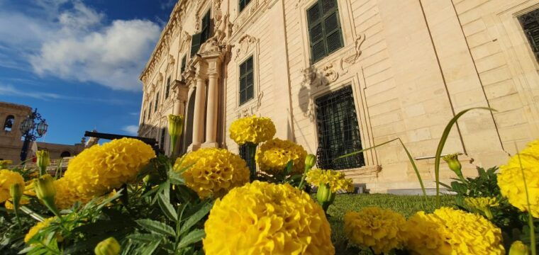 valletta-food-walking-tour-with-tastings