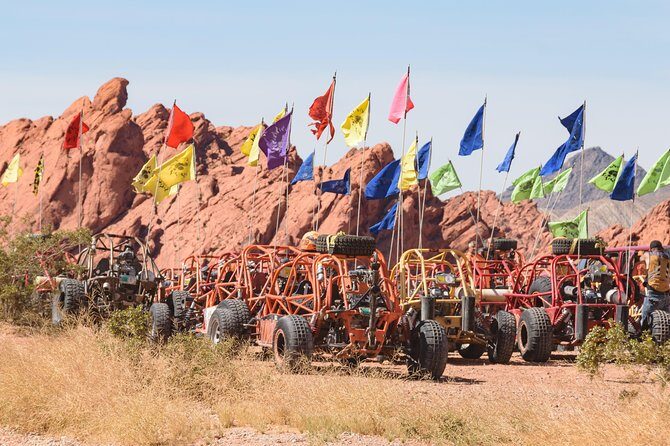 Valley of Fire ATV, RZR, UTV, or Dune Buggy Adventure - Pricing and Value