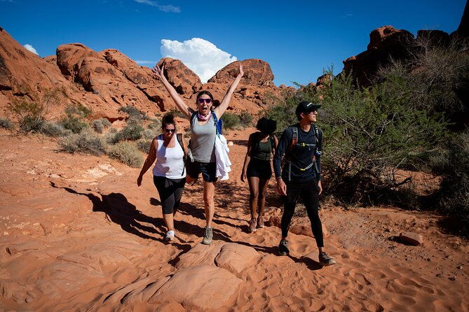 valley-of-fire-guided-hiking-tour-and-mojave-desert-adventure-2