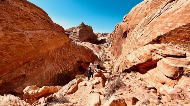 Valley of Fire VIP Small Group Tour From Las Vegas - What You Can Expect from the Valley of Fire VIP Small Group Tour