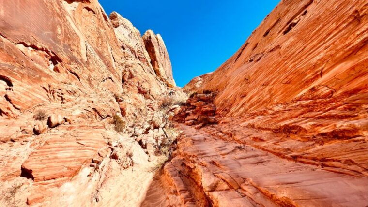 valley-of-fire-vip-small-group-tour-from-las-vegas