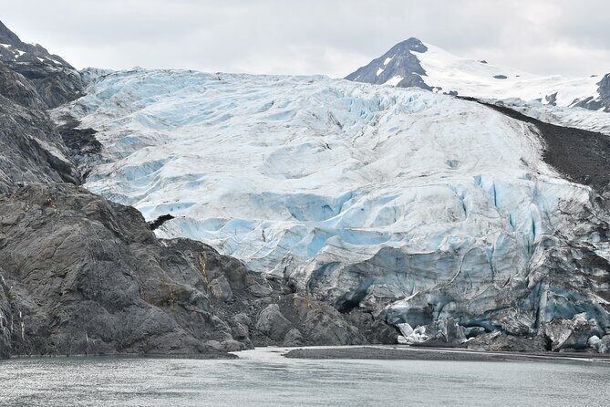 Valley of Glaciers Experience with Portage Glacier Cruise and Wildlife Tour - The Sum Up