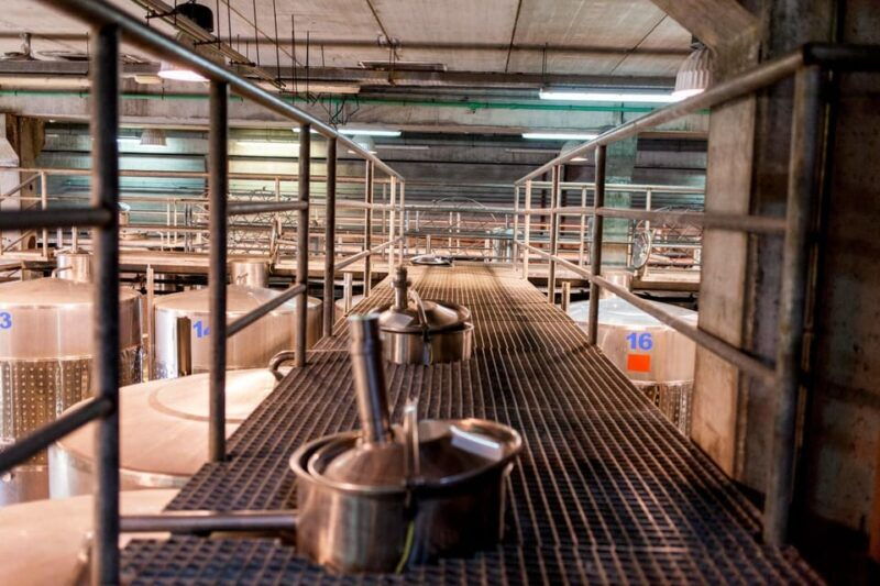 valley-of-tegueste-wine-tour-with-tasting-at-el-lomo-winery