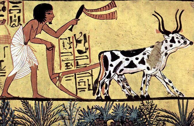 Valley of the Nobles /Habu Temple & Deir El Medina - Key Points