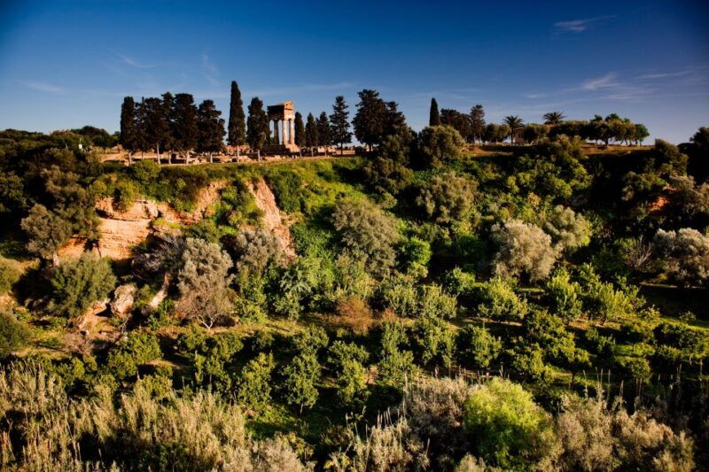 valley-of-the-temples-kolymbethra-garden-entry-ticket
