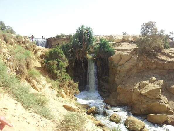 Valley of Whales and Wadi El Rayan Water Falls Day Tour from Cairo - Key Points