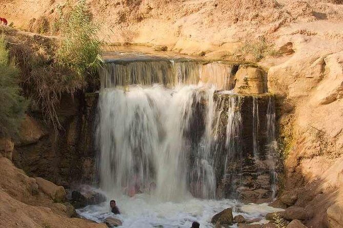 Valley of Whales and Wadi El Rayan Water Falls Day Tour from Cairo - The Value Proposition: Is It Worth It?