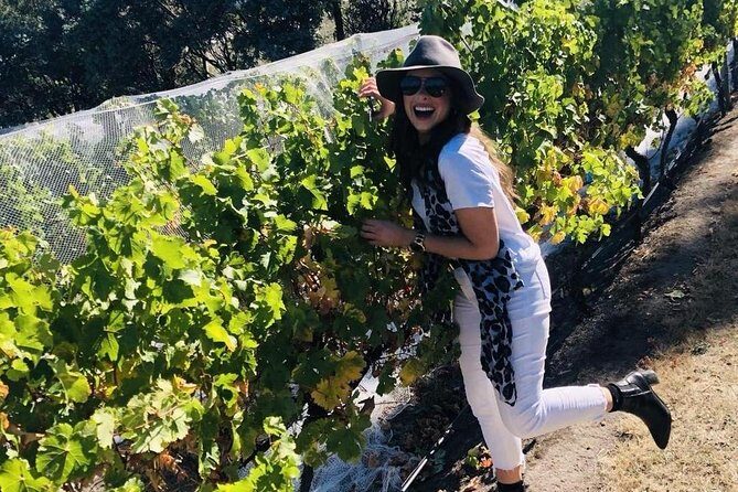 Valleys of Vino Full Day Tour - FAQs