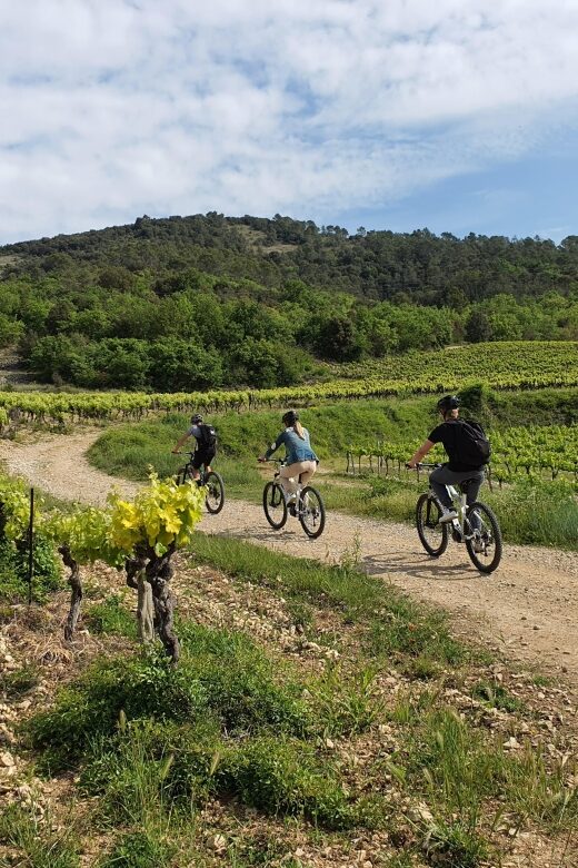 Vallon-Pont-d'Arc: Electric Bike Wine Tour & Tasting - Final Thoughts