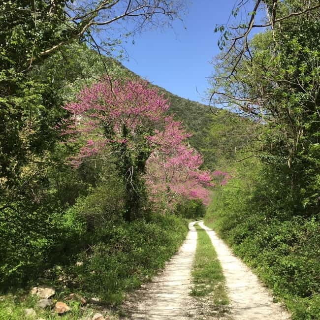 Valnerina: Fly Fishing Day with Guide - Who Will Love This Tour?