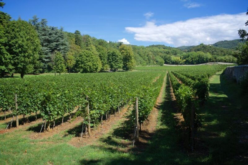 valpolicella-amarone-chateau-guided-tour-and-wine-tasting