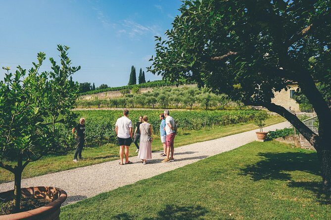 Valpolicella and Amarone Wine-tasting Tour from Verona - Who Will Love This Tour?