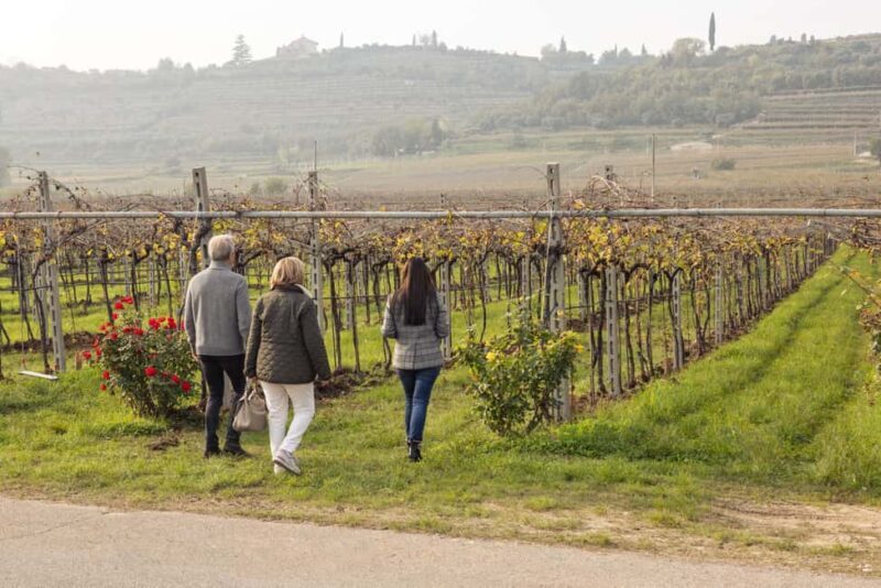 VALPOLICELLA: DISCOVER IT IN 5 GLASSES - Final Thoughts