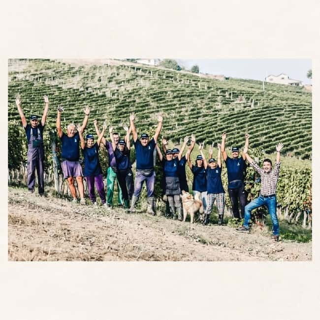 Valpolicella: Guided Wine Tour with Tastings of Local Wines - Experience the Flavors of Valpolicella Through a Guided Wine Tour