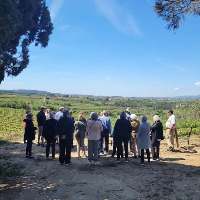 Valpolicella: Guided Wine Tour with Tastings of Local Wines - Who Would Love This Tour?