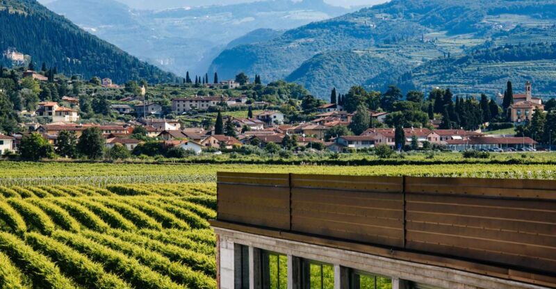 valpolicella-lunch-or-dinner-tasting-with-amarone