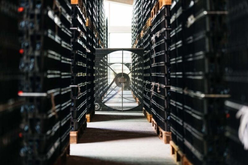 valpolicella-lunch-or-dinner-tasting-with-amarone