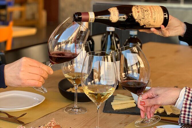 Valpolicella Wine Tasting Experience & Light Lunch - The Wine Tasting Experience