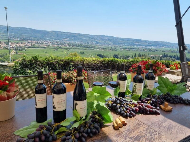 valpolicella-wine-tasting-on-a-spectacular-terrace