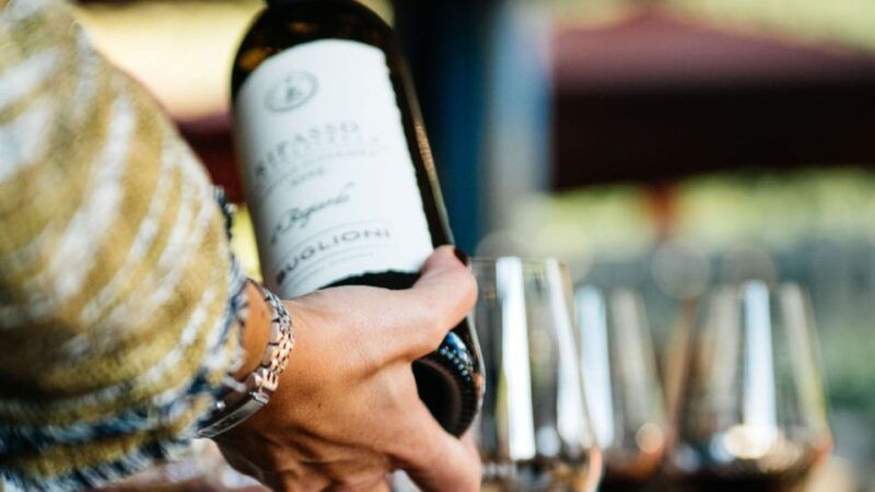 valpolicella-winery-tour-with-red-winecicchetti-tasting