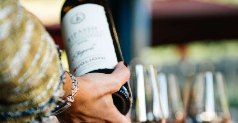 valpolicella-winery-tour-with-red-winecicchetti-tasting