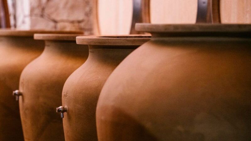 valpolicella-winery-tour-with-red-winecicchetti-tasting