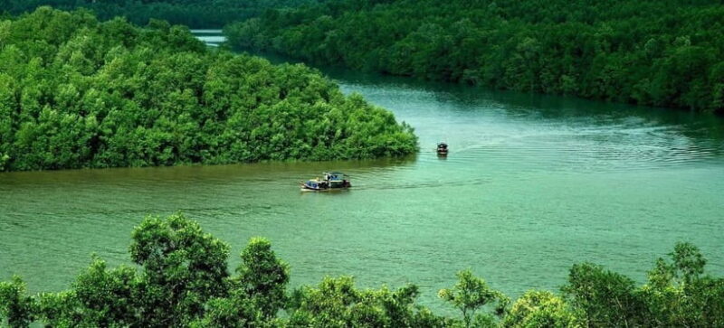 Vam Sat Biosphere & Monkey Island Tour From Sai Gon - What’s Included and What to Keep in Mind