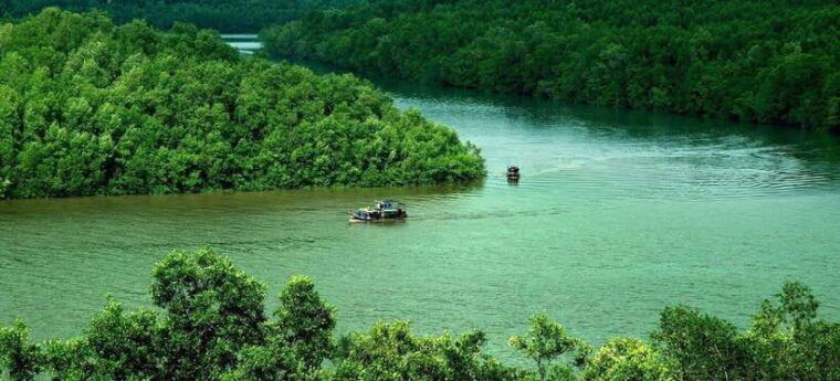 vam-sat-biosphere-monkey-island-tour-from-sai-gon