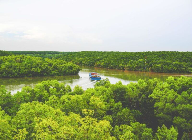 vam-sat-mangrove-forest-private-tour-from-ho-chi-minh-city