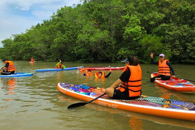 Vam Sat Mangrove Private Eco Tour - The Sum Up