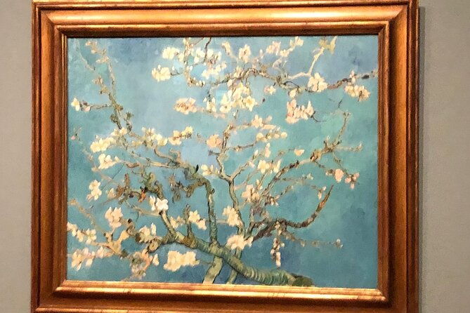 van-gogh-museum-rijks-museum-walking-tour-private-day-tour