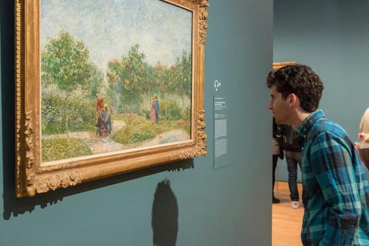 van-gogh-museum-tour-secret-of-the-green-sun-incl-tickets
