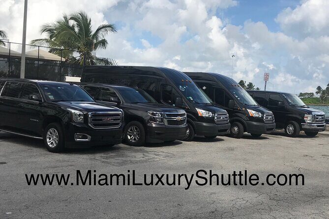 VAN Mia Airport or Hotels to Miami Port or Hotels Up to 14pax - Who is This Transfer Best For?